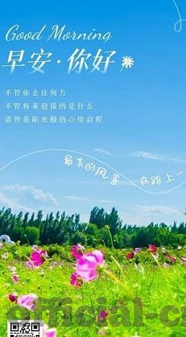 012足球比分直播-012足球比分直播，实时追踪绿茵激情，解锁观赛新体验