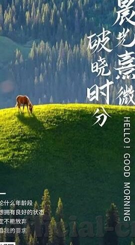 足球竞猜比分方式-解锁足球竞猜新境界，精准掌握比分预测方式